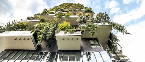 Il Bosco In Verticale